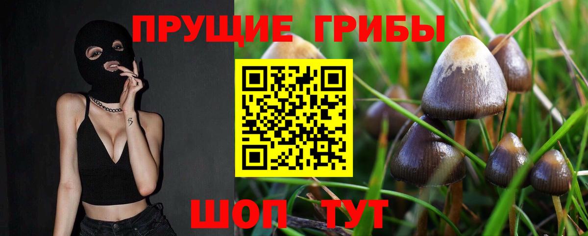 Медногорск  Псилоцибиновые грибы Magic Shrooms  Галлюциногенные грибы мухоморы  Вход с VPN 
