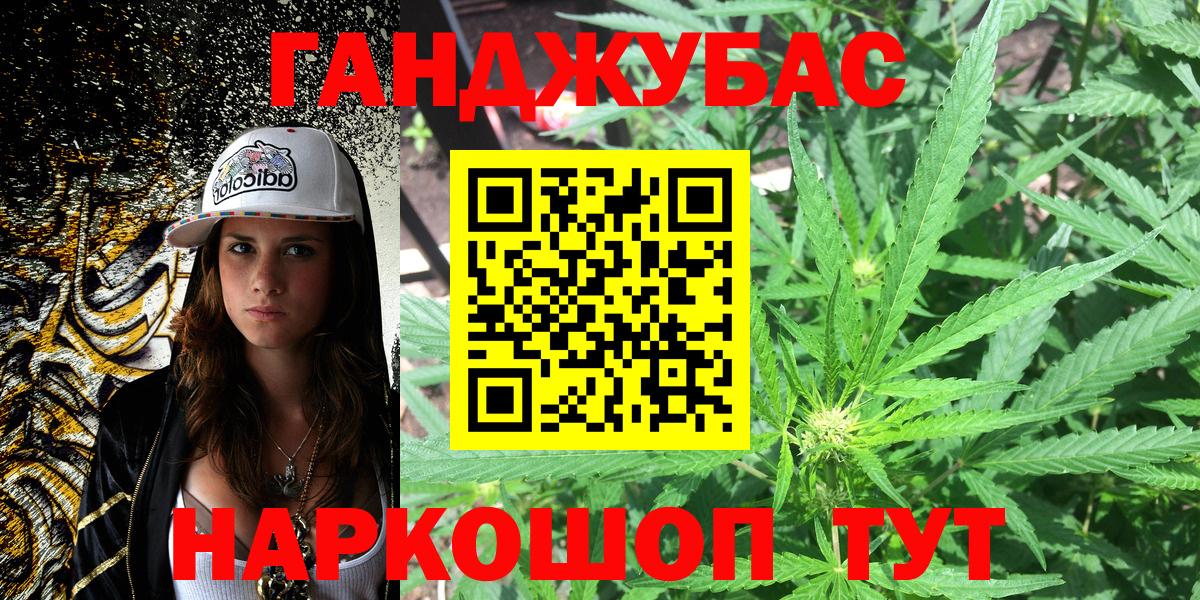 Конопля Amnesia  Бошки Шишки конопля  Вход с VPN  Медногорск  Марихуана сатива  Шишки марихуана план 